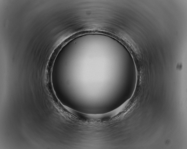 X0000098090876200804041217