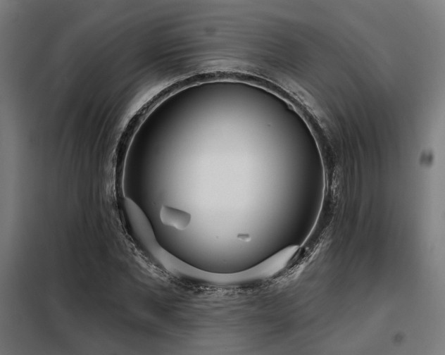 X0000098090877200804041217