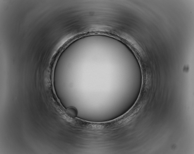 X0000098090878200804041217