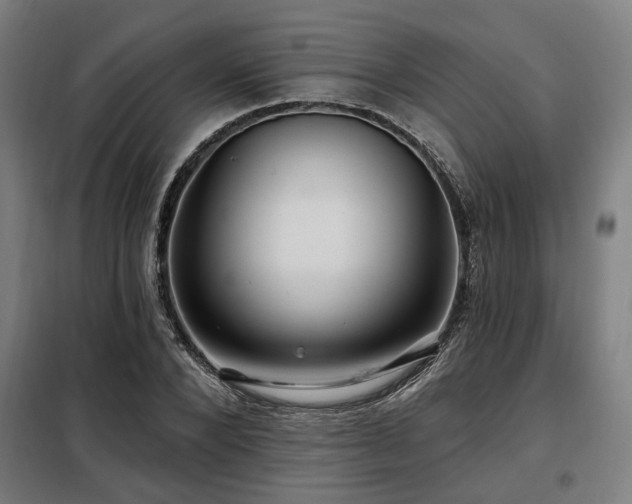 X0000098090880200804041217