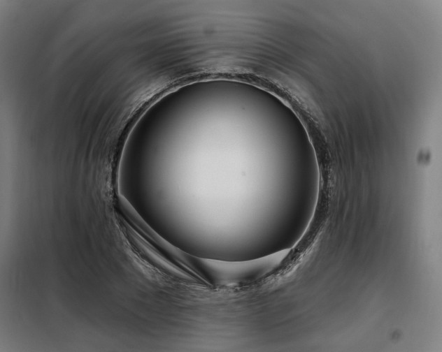 X0000098090881200804041217