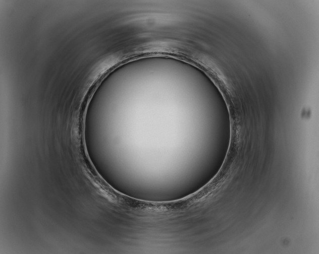 X0000098090882200804041217