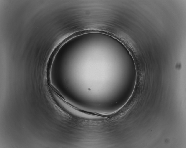X0000098090884200804041217