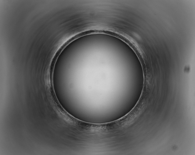 X0000098090887200804041217