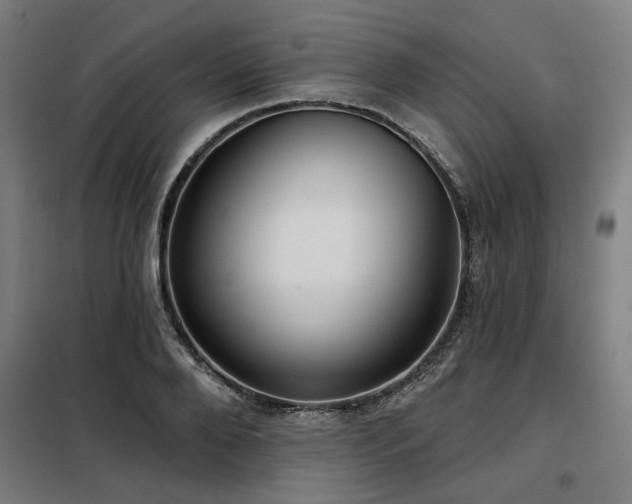 X0000098090888200804041217