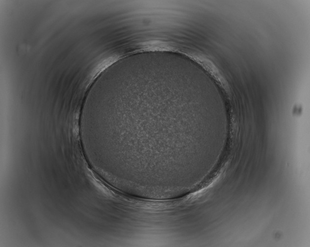 X0000098090889200804041217