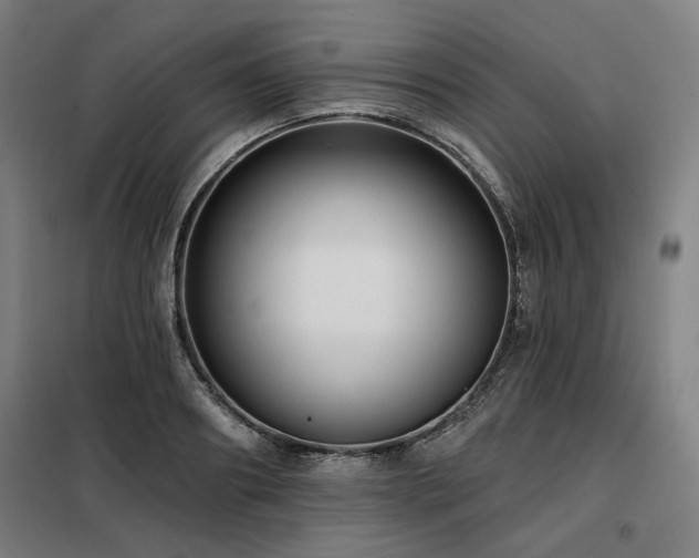 X0000098090890200804041217