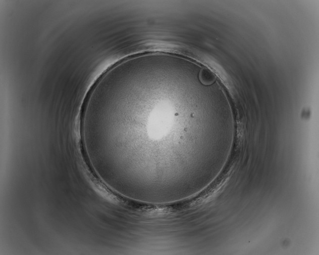 X0000098090891200804041217
