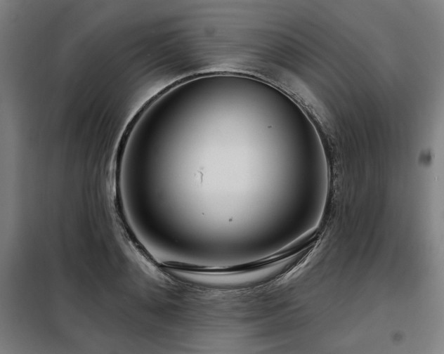 X0000098090892200804041217