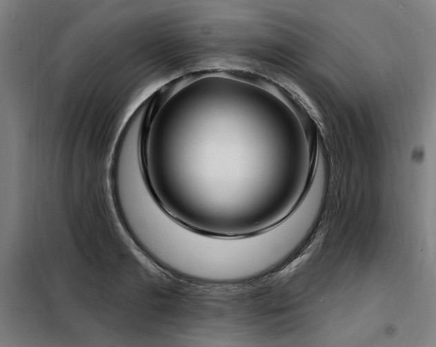 X0000098090893200804041217