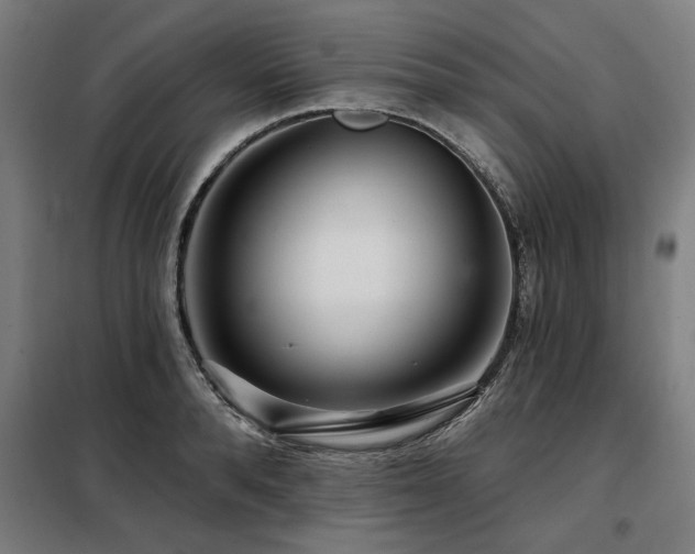 X0000098090896200804041217