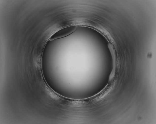 X0000098090897200804041217