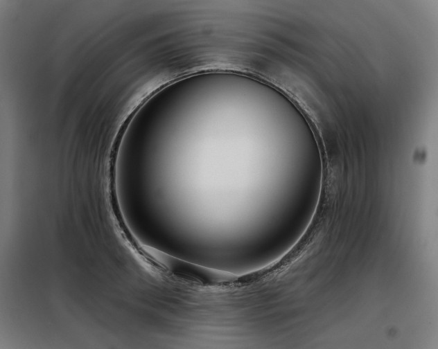 X0000098090898200804041217
