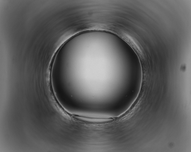 X0000098090900200804041217