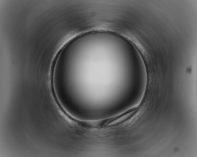 X0000098090902200804041217