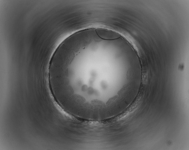 X0000098090903200804041217