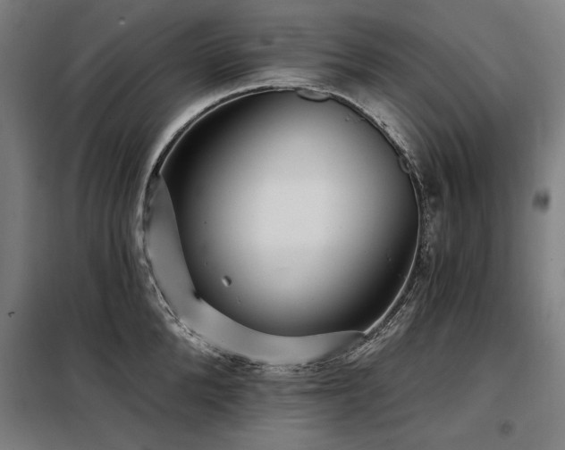 X0000098090904200804041217