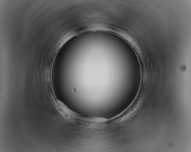X0000098090905200804041217