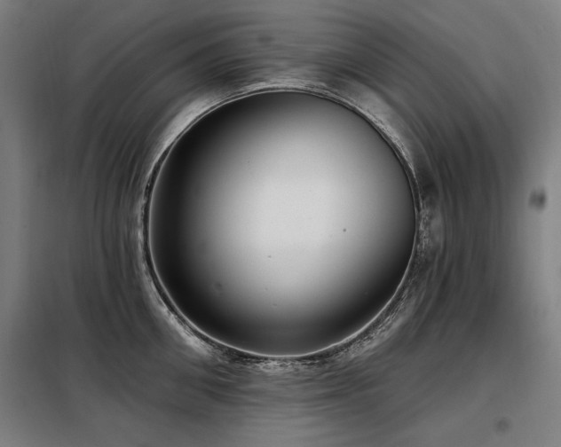 X0000098090906200804041217