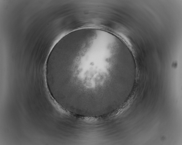 X0000098090907200804041217
