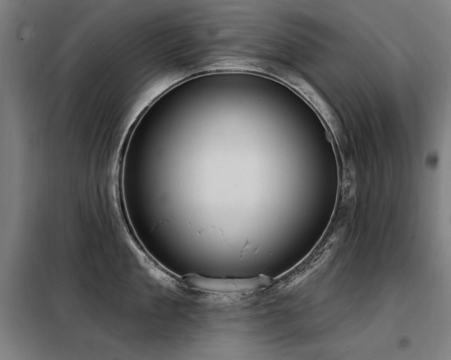 X0000098090909200804041217