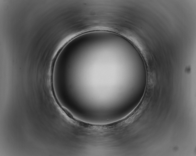 X0000098090910200804041217