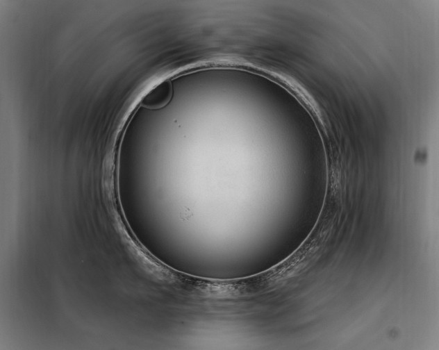 X0000098090911200804041217