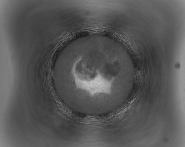 X0000098090913200804041216