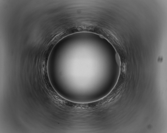 X0000098090915200804041216
