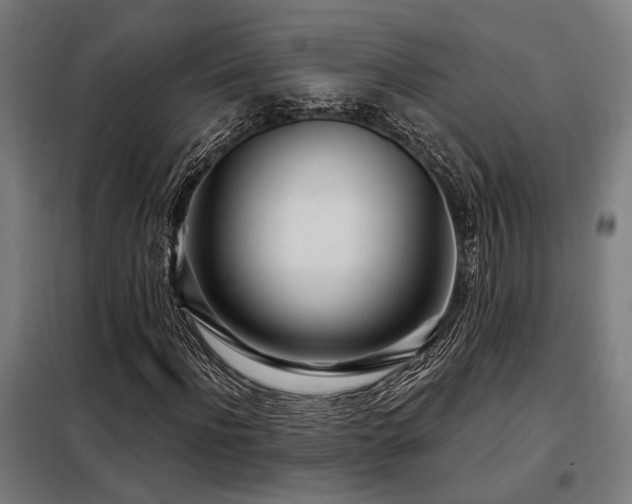 X0000098090916200804041216