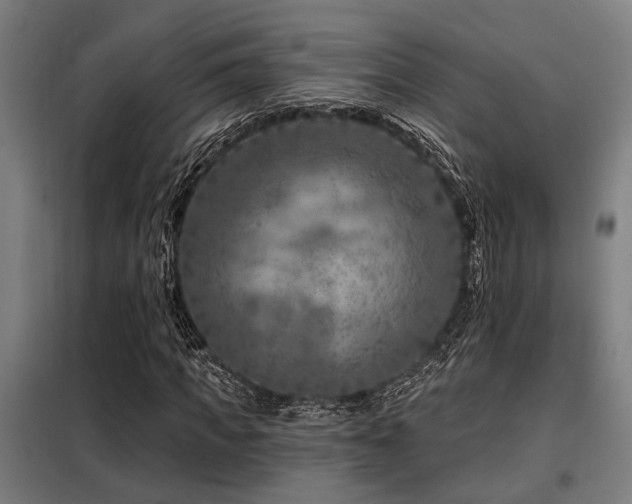 X0000098090917200804041216