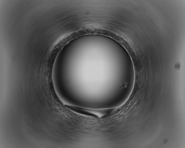 X0000098090919200804041216
