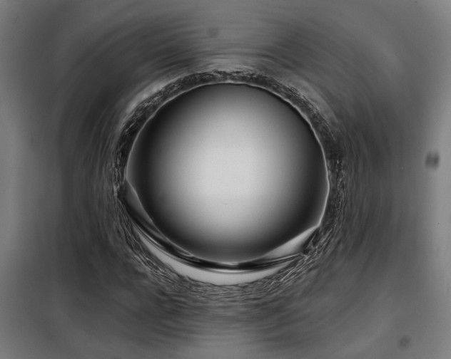 X0000098090920200804041216