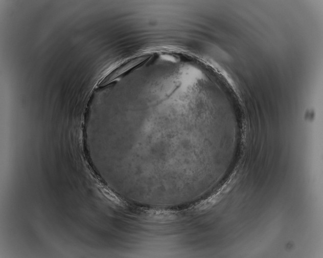 X0000098090921200804041216