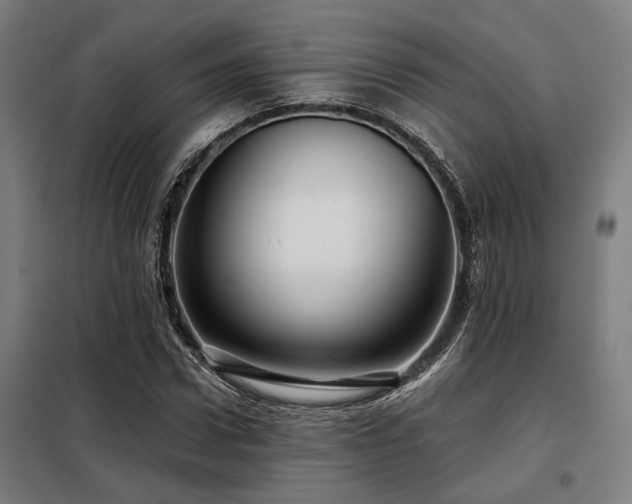 X0000098090922200804041216