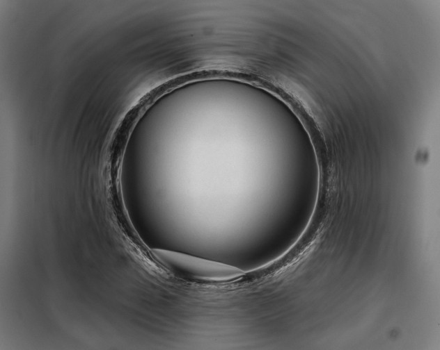 X0000098090923200804041216