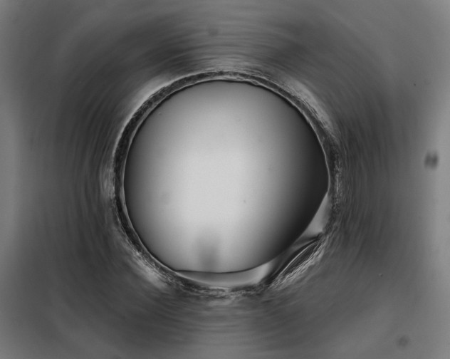 X0000098090924200804041216