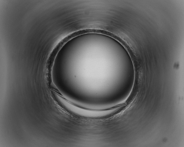 X0000098090926200804041216