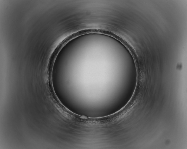 X0000098090927200804041216