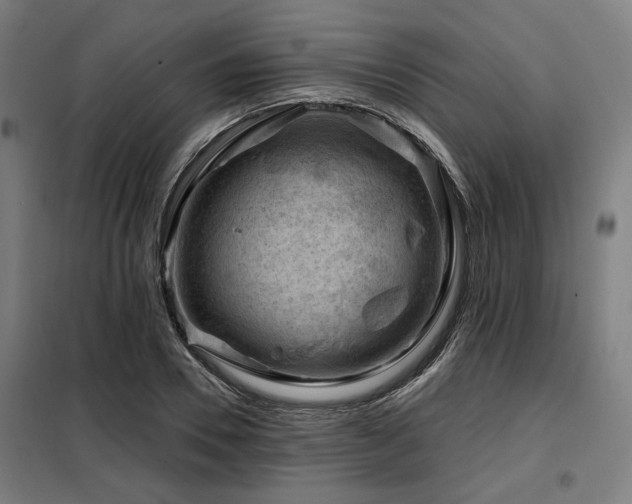 X0000098090930200804041216