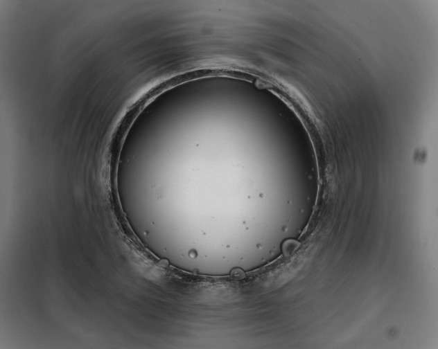 X0000098090931200804041216