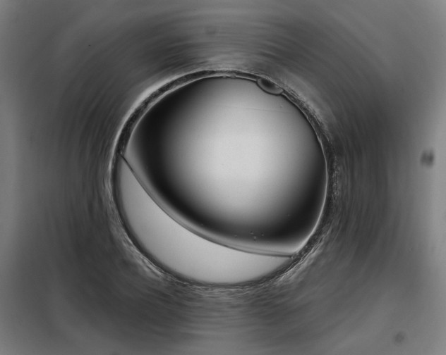 X0000098090932200804041216