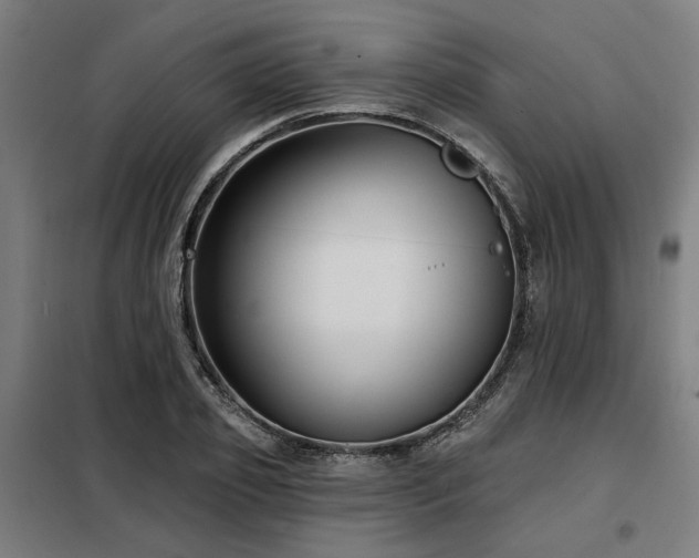X0000098090933200804041216
