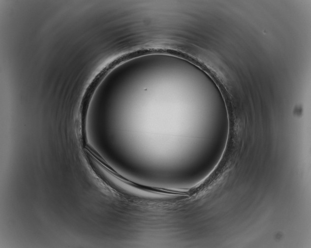 X0000098090934200804041216