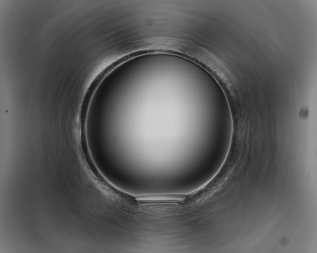 X0000098090936200804041216