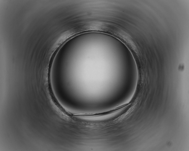 X0000098090938200804041216