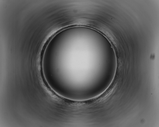 X0000098090939200804041216