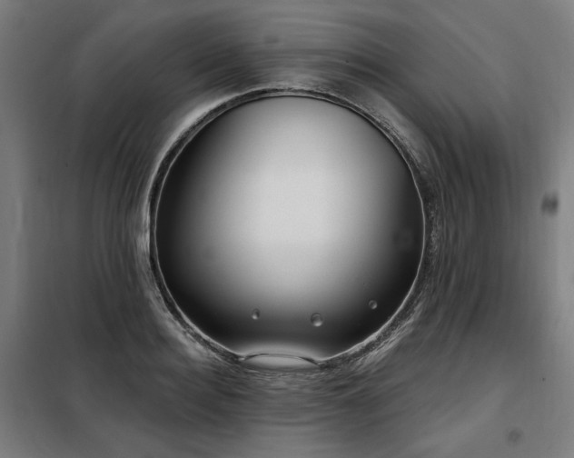 X0000098090940200804041216