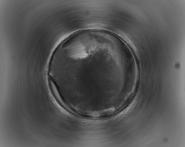 X0000098090941200804041216