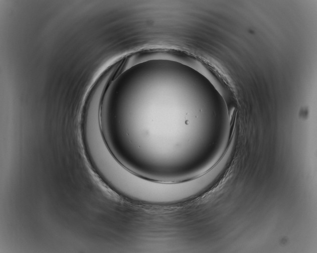 X0000098090942200804041216